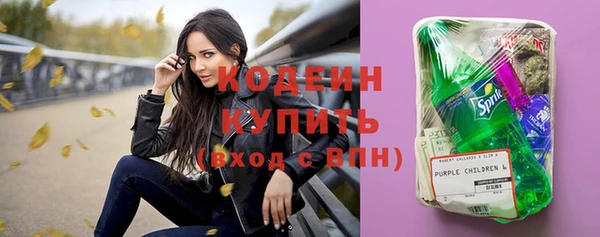 бошки Бородино