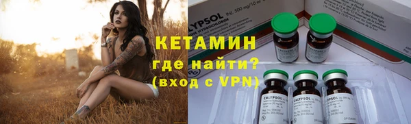 бошки Бородино