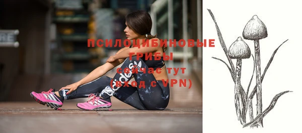 бошки Бородино