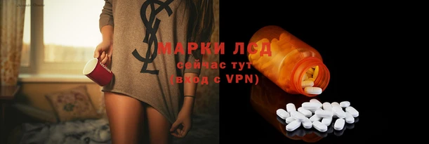 бошки Бородино
