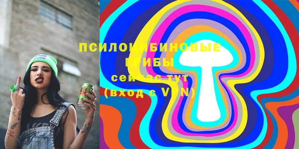 бошки Бородино